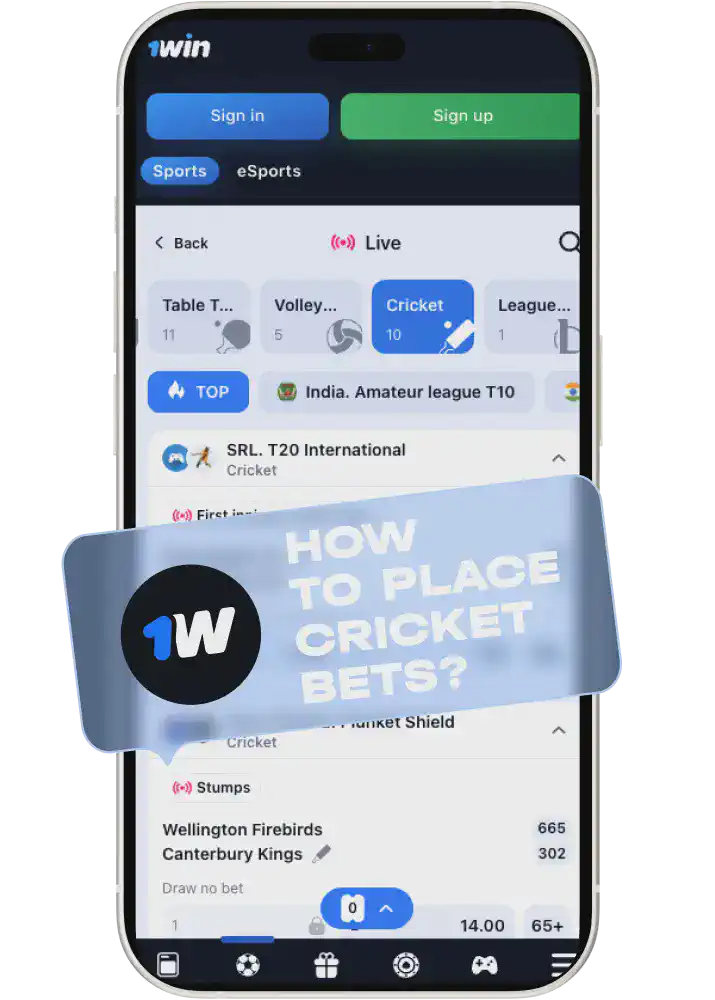 1win placing cricket bets Pakistan